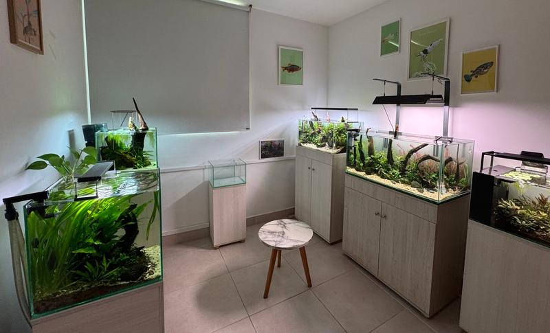 JuanJo El Tío Pez Fishroom